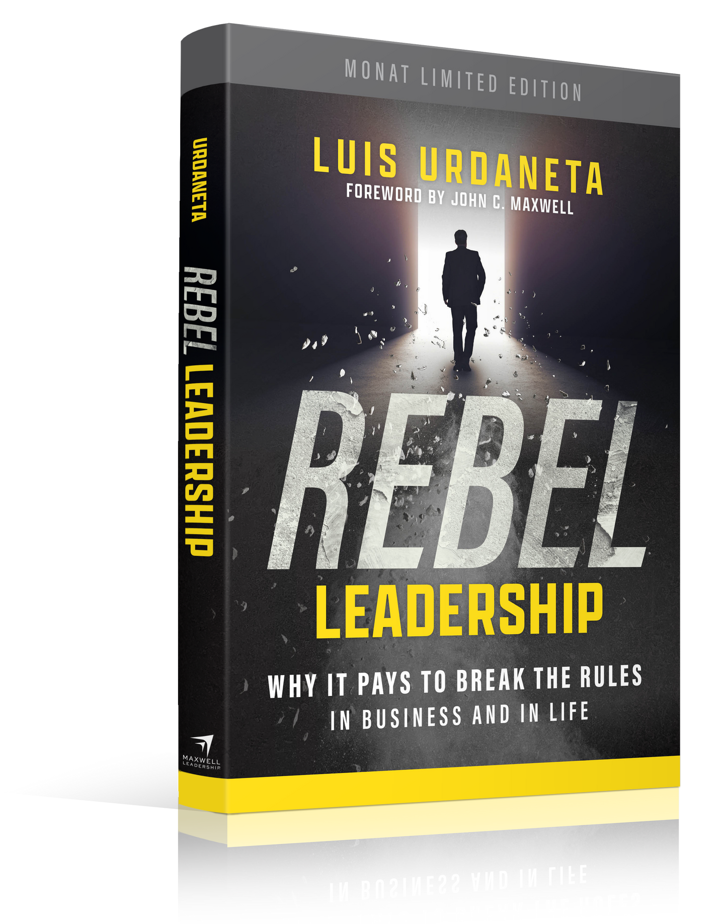Rebel Leadership - English